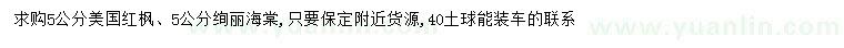 求购5公分美国红枫、绚丽海棠