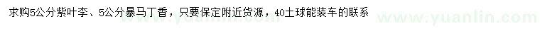 求购5公分紫叶李、暴马丁香