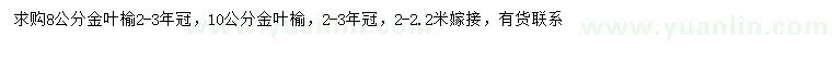 求购8、10公分金叶榆