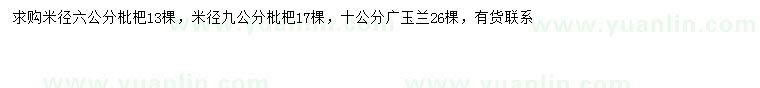 求购米径6、9公分枇杷、10公分广玉兰