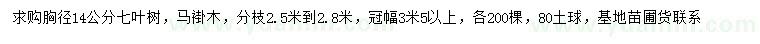 求购胸径14公分七叶树、马褂木