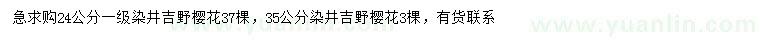 求购24、35公分染井吉野樱