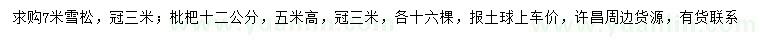 求购7米雪松、12公分枇杷