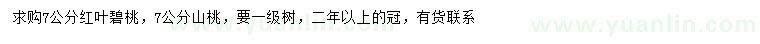 求购7公分红叶碧桃、山桃