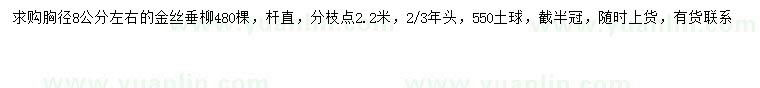 求购胸径8公分左右金丝垂柳