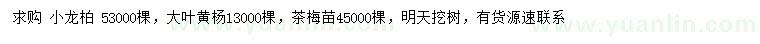 求购小龙柏、大叶黄杨、茶梅