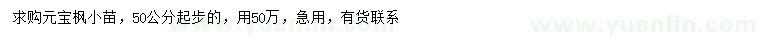 求购50公分以上元宝枫小苗