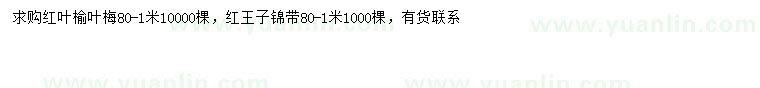 求购0.8-1米红叶榆叶梅、红王子锦带