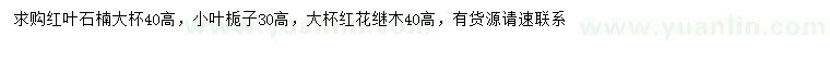 求购红叶石楠、小叶栀子、红花继木