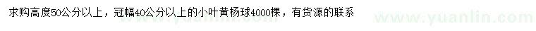 求购冠幅40公分以上小叶黄杨球