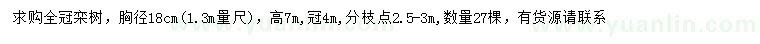 求购1.3米量18公分栾树