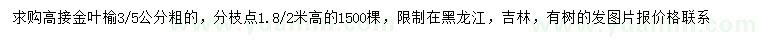 求购3、5公分高接金叶榆