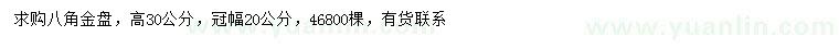 求购高30公分八角金盘