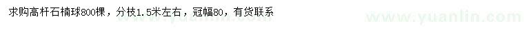 求购冠幅80公分高杆石楠球