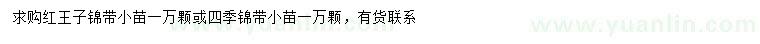 求购红王子锦带小苗、四季锦带小苗