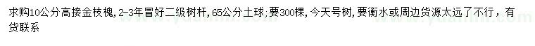 求购10公分高接金枝槐