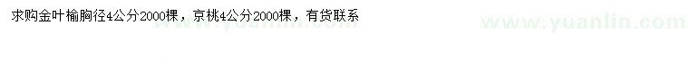 求购胸径4公分金叶榆、京桃