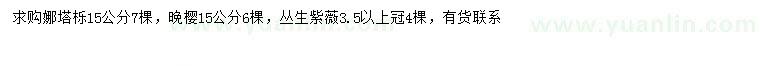 求购娜塔栎、晚樱、丛生紫薇