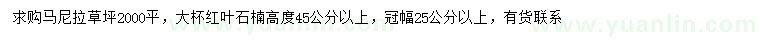 求购马尼拉、高45公分以上红叶石楠