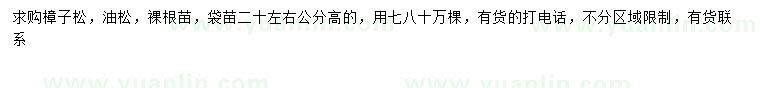 求购高20公分樟子松、油松