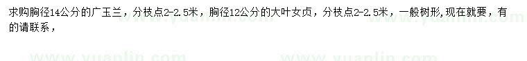 求购胸径14公分广玉兰、胸径12公分大叶女贞