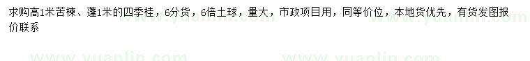 求购高1米苦楝、冠幅1米四季桂