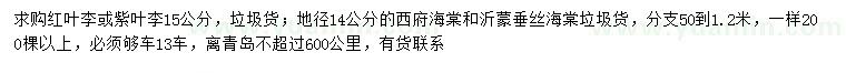 求购红叶李、紫叶李、西府海棠等