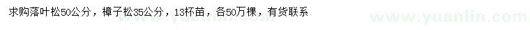 求购50公分落叶松、35公分樟子松