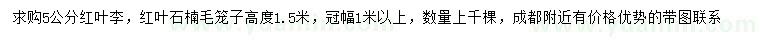 求购5公分红叶李、高1.5米红叶石楠