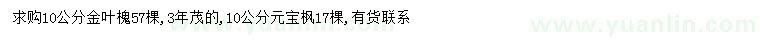 求购10公分金叶槐、元宝枫