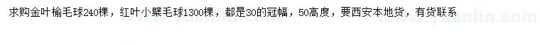 求购冠幅30公分金叶榆球、红叶小檗球