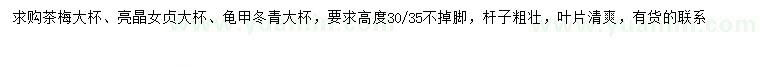 求购茶梅、亮晶女贞、龟甲冬青