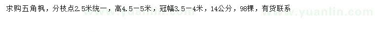 求购高4.5-5米五角枫