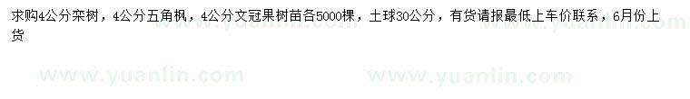 求购栾树、五角枫、文冠果