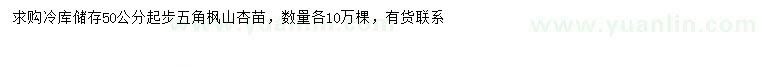 求购50公分以上五角枫、山杏