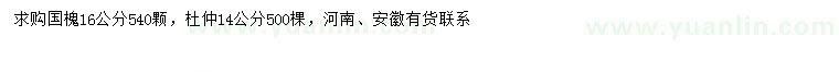 求购16公分国槐、14公分杜仲