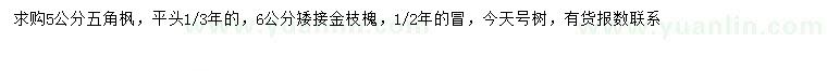 求购5公分五角枫、6公分金枝槐