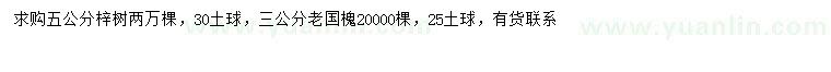 求购5公分梓树、3公分国槐