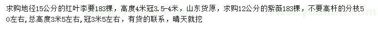 求购地径15公分红叶李、12公分紫薇