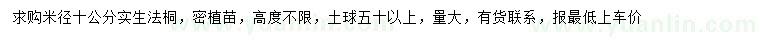 求购米径10公分法桐