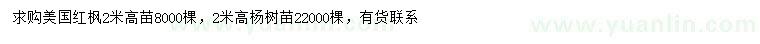 求购高2米美国红枫、杨树