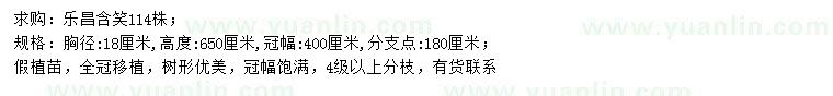 求购胸径18公分乐昌含笑