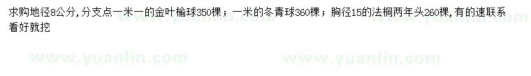 求购金叶榆球、冬青球、法桐