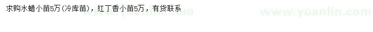 求购水蜡小苗、红丁香小苗