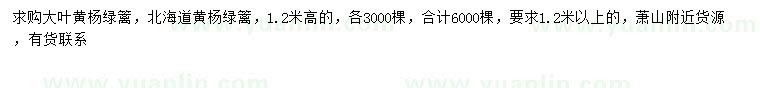 求购高1.2米大叶黄杨绿篱、北海道黄杨绿篱