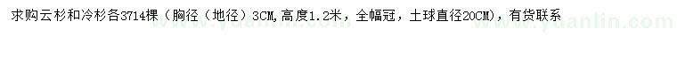 求购胸径3公分云杉、冷杉