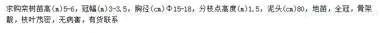 求购胸径15-18公分栾树