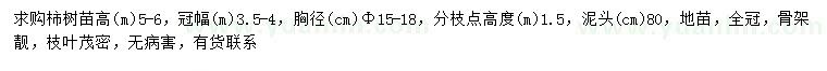 求购胸径15-18公分柿树