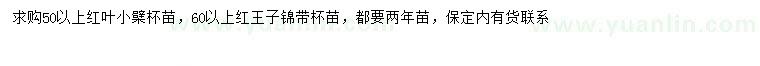 求购50公分以上红叶小檗、60公分以上红王子锦带