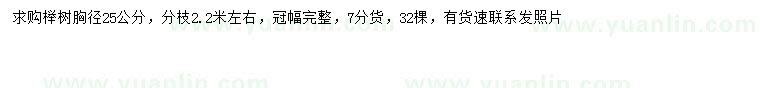 求购胸径25公分榉树